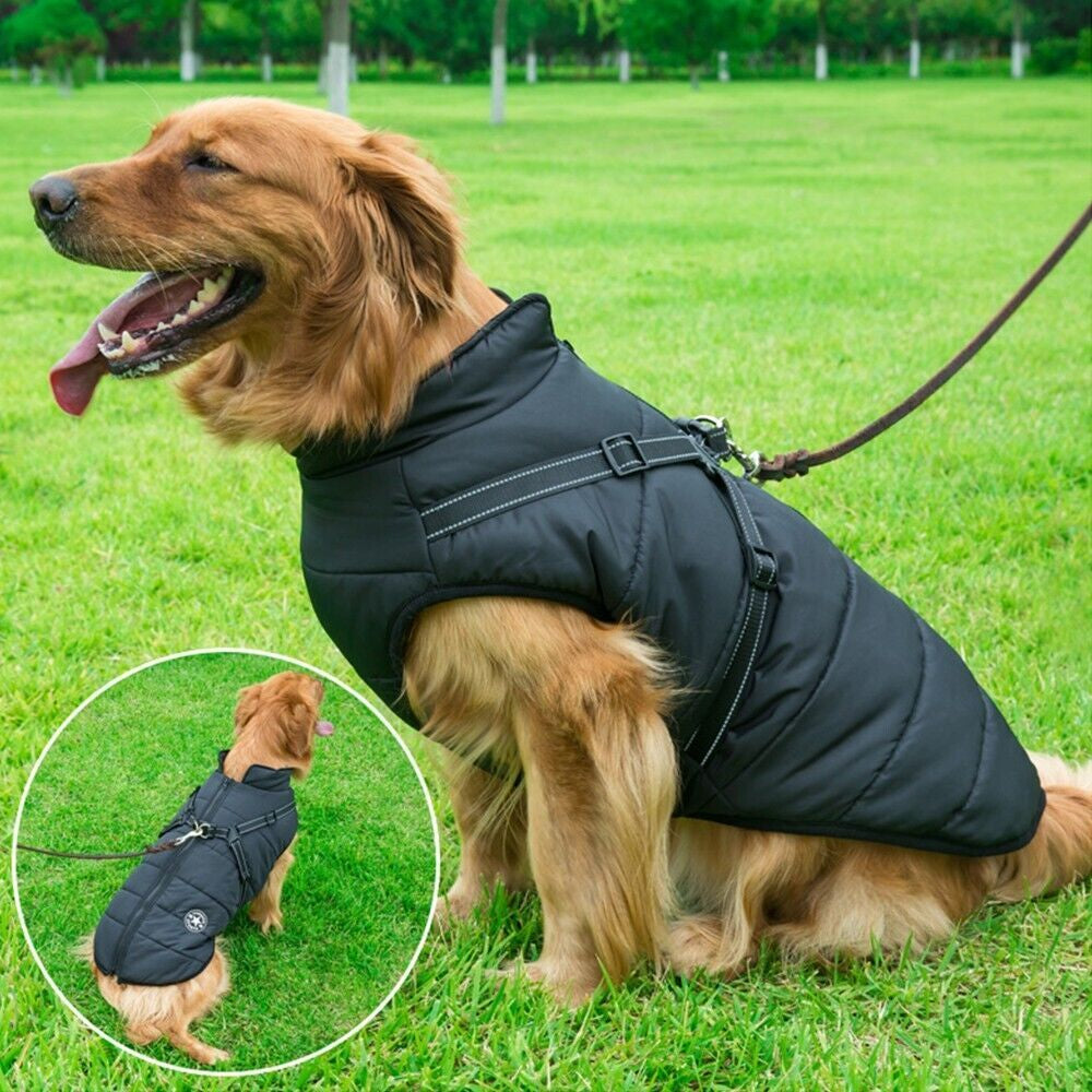 Autumn Winter Pet Vest Pet Puppy Dog Cat Warm Padded Coat Harness Zip Jacket